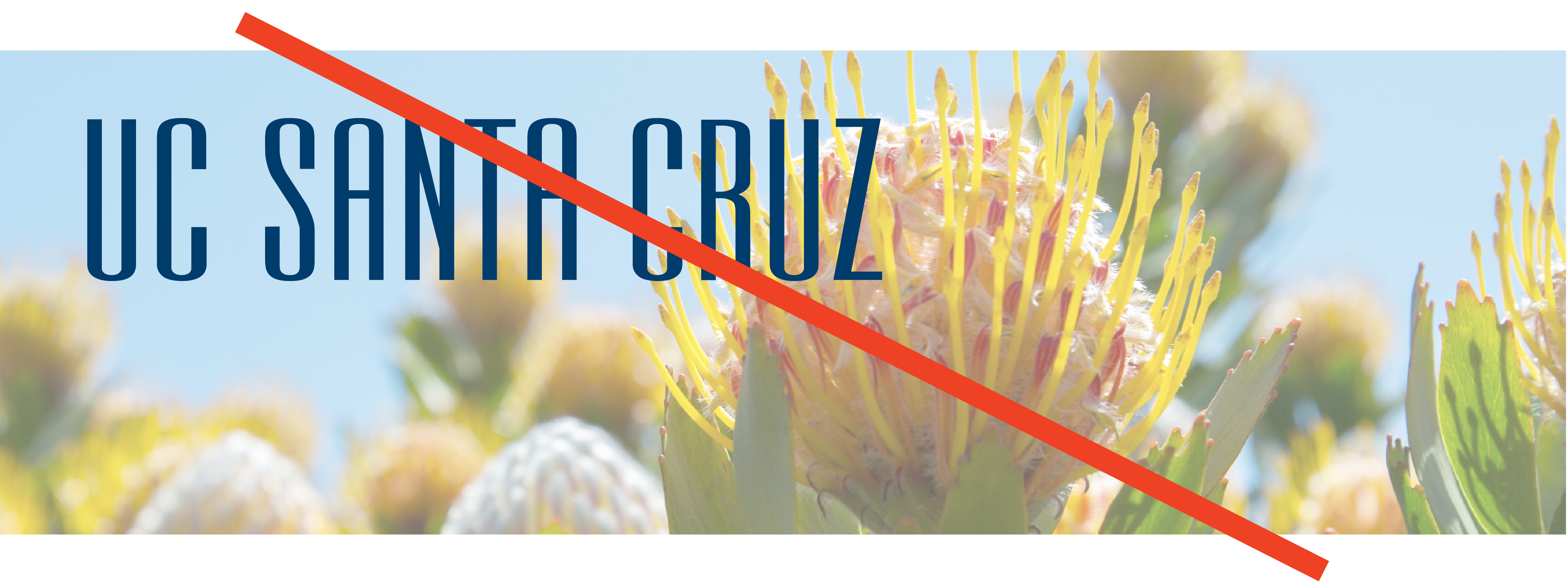 Santa Cruz logo and symbol, meaning, history, PNG