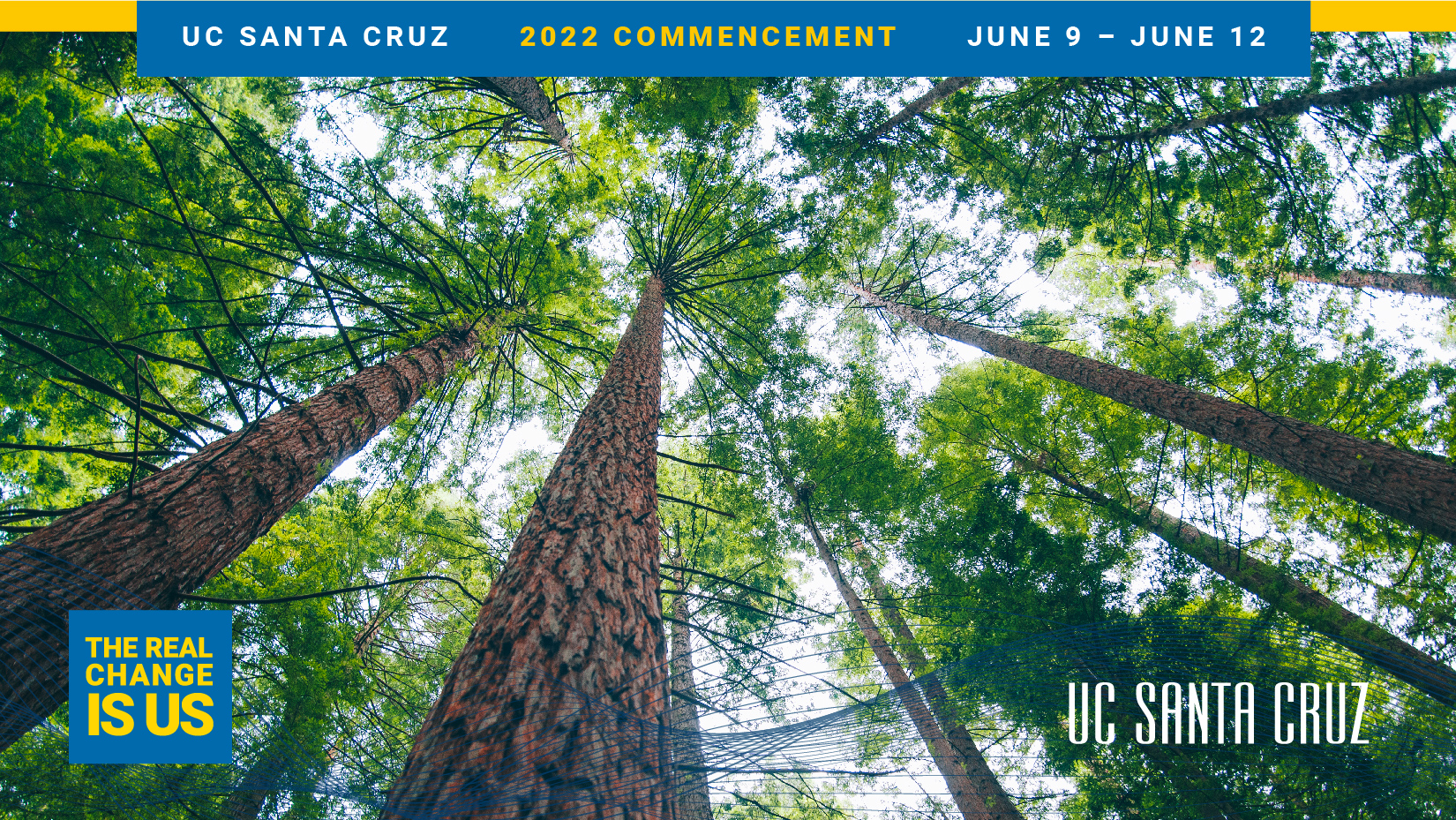 Commencment 2022 Redwoods Background